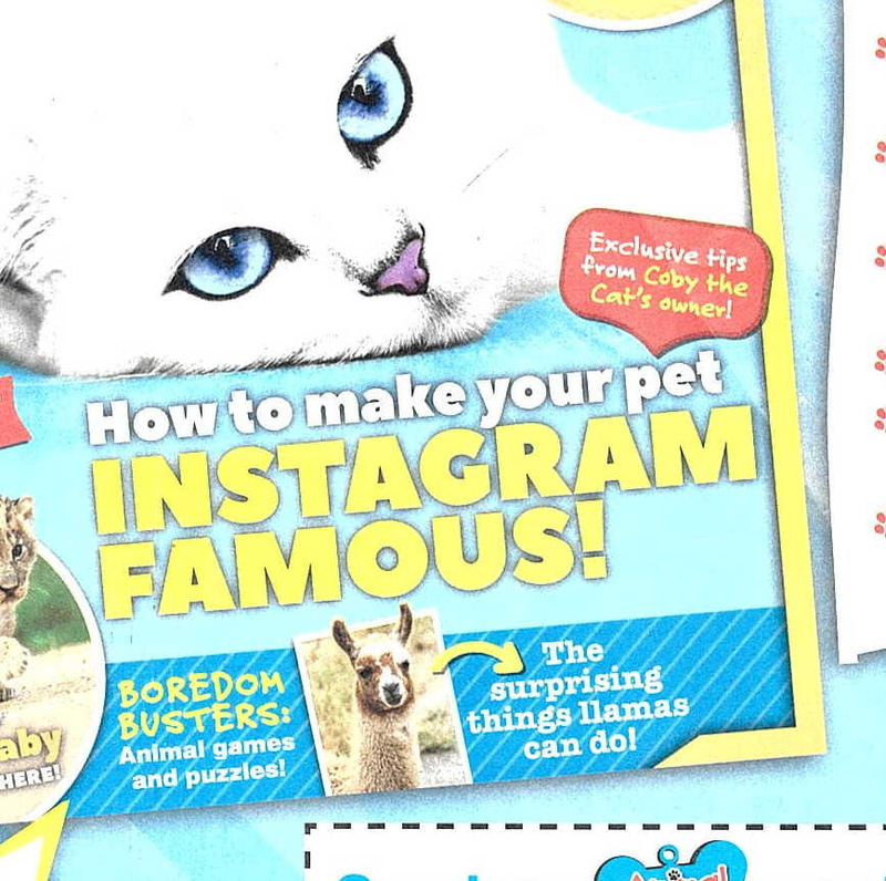 Illustration for article titled This Week in Tabloids: Girls' World is the Only Good Magazine